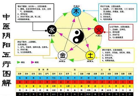 金生水原理|怎样理解五行理论中的“金生水”？